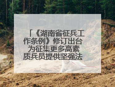 《湖南省征兵工作条例》修订出台 为征集更多高素质兵员提供坚强法治保障