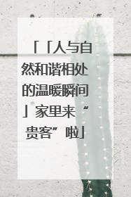 「人与自然和谐相处的温暖瞬间」家里来“贵客”啦