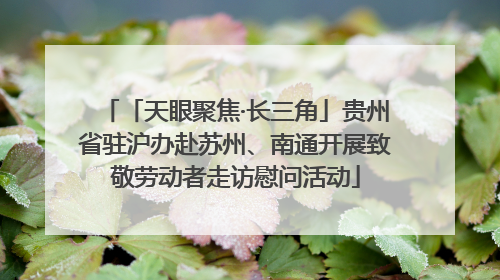「天眼聚焦·长三角」贵州省驻沪办赴苏州、南通开展致敬劳动者走访慰问活动