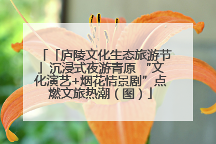 「庐陵文化生态旅游节」沉浸式夜游青原 “文化演艺+烟花情景剧”点燃文旅热潮（图）