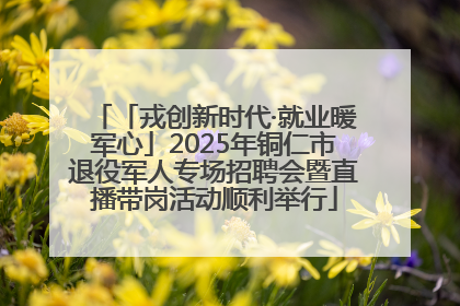 「戎创新时代·就业暖军心」2025年铜仁市退役军人专场招聘会暨直播带岗活动顺利举行