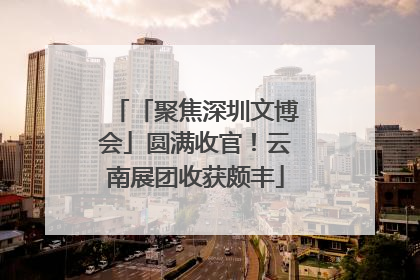 「聚焦深圳文博会」圆满收官！云南展团收获颇丰