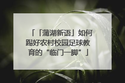 「蒲湖新语」如何踢好农村校园足球教育的“临门一脚”