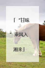 “甘味”乘风入湘来