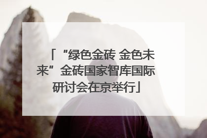 “绿色金砖 金色未来”金砖国家智库国际研讨会在京举行