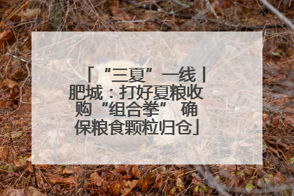 “三夏”一线丨肥城：打好夏粮收购“组合拳” 确保粮食颗粒归仓