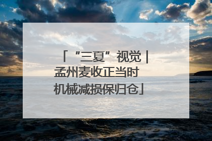 “三夏”视觉｜孟州麦收正当时 机械减损保归仓