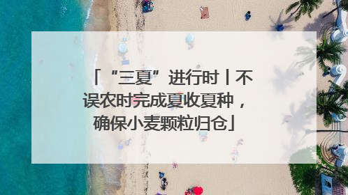 “三夏”进行时丨不误农时完成夏收夏种，确保小麦颗粒归仓