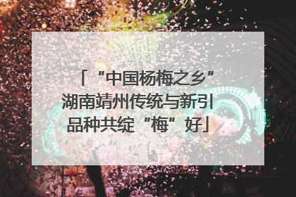 “中国杨梅之乡”湖南靖州传统与新引品种共绽“梅”好