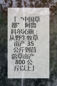 “中国草都” 阿鲁科尔沁旗：从野生牧草亩产 35 公斤到苜蓿草亩产 800 公斤以上