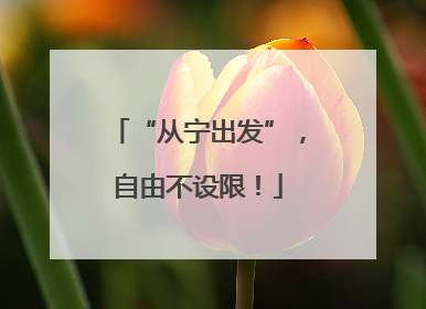 “从宁出发”，自由不设限！