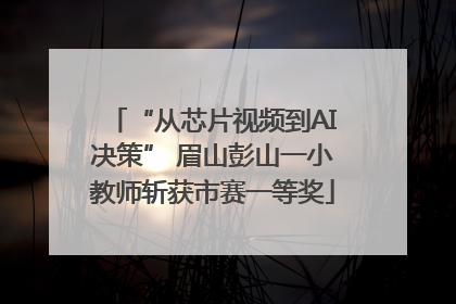 “从芯片视频到AI决策” 眉山彭山一小教师斩获市赛一等奖