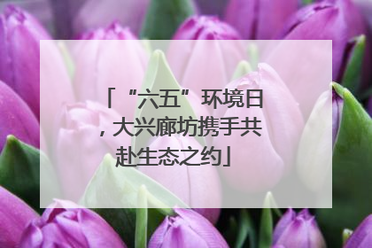 “六五”环境日，大兴廊坊携手共赴生态之约
