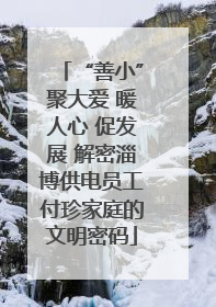 “善小”聚大爱 暖人心 促发展 解密淄博供电员工付珍家庭的文明密码