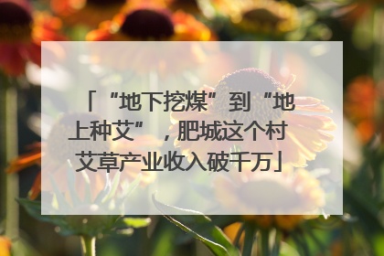 “地下挖煤”到“地上种艾”，肥城这个村艾草产业收入破千万
