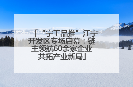 “宁工品推”江宁开发区专场启幕：链主领航60余家企业共拓产业新局