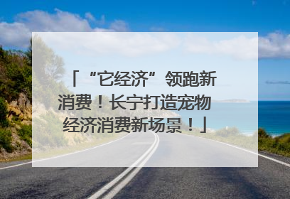 “它经济”领跑新消费！长宁打造宠物经济消费新场景！