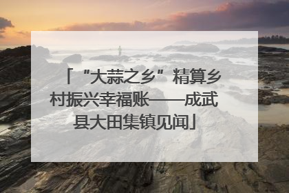 “大蒜之乡”精算乡村振兴幸福账——成武县大田集镇见闻