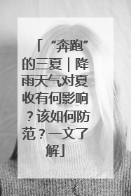 “奔跑”的三夏｜降雨天气对夏收有何影响？该如何防范？一文了解