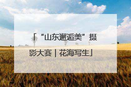 “山东邂逅美”摄影大赛｜花海写生