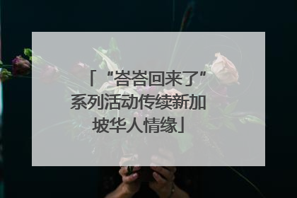 “峇峇回来了”系列活动传续新加坡华人情缘