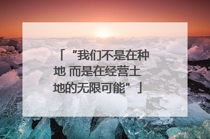 “我们不是在种地 而是在经营土地的无限可能”