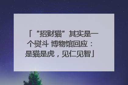 “招财猫”其实是一个熨斗 博物馆回应：是猫是虎，见仁见智