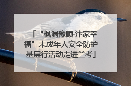 “枫调豫顺·汴家幸福”未成年人安全防护基层行活动走进兰考