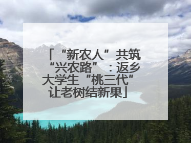 “新农人”共筑“兴农路”：返乡大学生“桃三代”让老树结新果