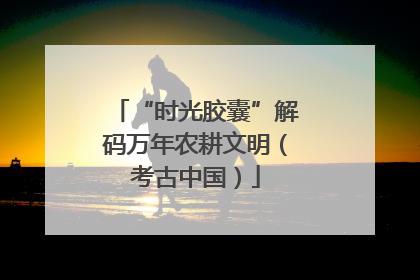 “时光胶囊”解码万年农耕文明（考古中国）