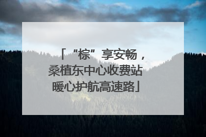 “棕”享安畅，桑植东中心收费站暖心护航高速路