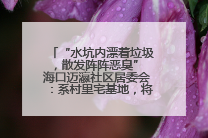“水坑内漂着垃圾，散发阵阵恶臭” 海口迈瀛社区居委会：系村里宅基地，将派人打捞垃圾