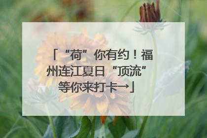 “荷”你有约！福州连江夏日“顶流”等你来打卡→