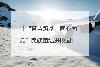 “育苗筑基、同心向党”民族团结进校园