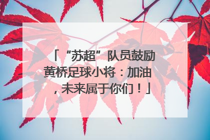 “苏超”队员鼓励黄桥足球小将：加油，未来属于你们！