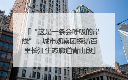 “这是一条会呼吸的岸线”，城市观察团探访百里长江生态廊道青山段