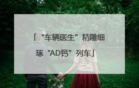 “车辆医生”精雕细琢“AD钙”列车