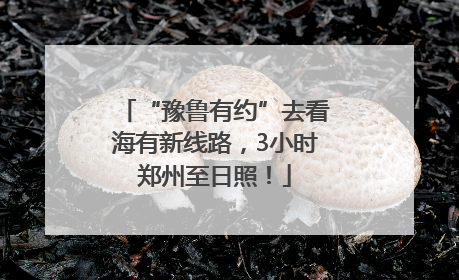 “豫鲁有约”去看海有新线路，3小时郑州至日照！