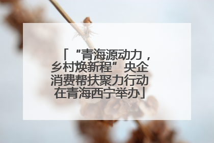 “青海源动力，乡村焕新程”央企消费帮扶聚力行动在青海西宁举办
