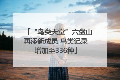 “鸟类天堂”六盘山再添新成员 鸟类记录增加至336种