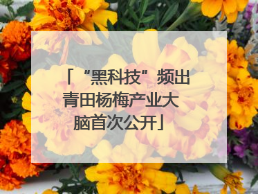 “黑科技”频出 青田杨梅产业大脑首次公开