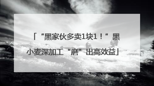 “黑家伙多卖1块1！”黑小麦深加工“磨”出高效益