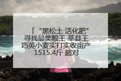“黑松土 活化肥”寻找最美粮王 莘县王巧英小麦实打实收亩产1515.4斤 超对照田144斤！