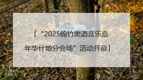 “2025绵竹美酒音乐嘉年华什地分会场”活动开幕