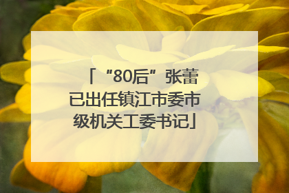 “80后”张蕾已出任镇江市委市级机关工委书记