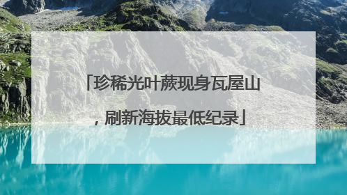 珍稀光叶蕨现身瓦屋山，刷新海拔最低纪录