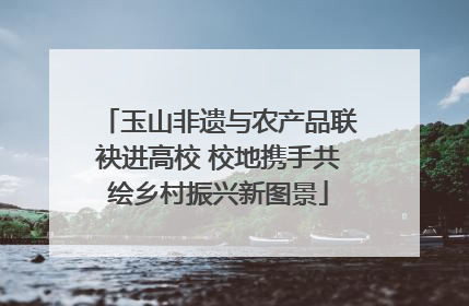 玉山非遗与农产品联袂进高校 校地携手共绘乡村振兴新图景