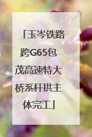 玉岑铁路跨G65包茂高速特大桥系杆拱主体完工