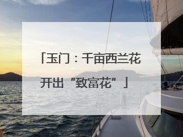 玉门：千亩西兰花开出“致富花”