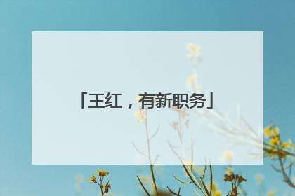 王红，有新职务